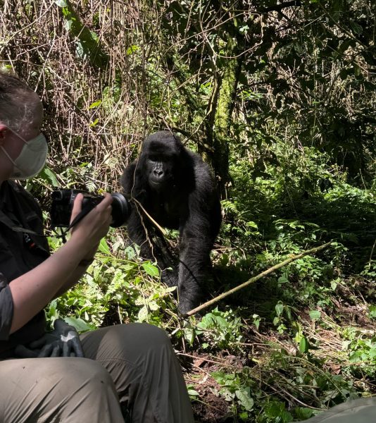 Women's Uganda Mountain Gorillas + Chimpanzee Trekking