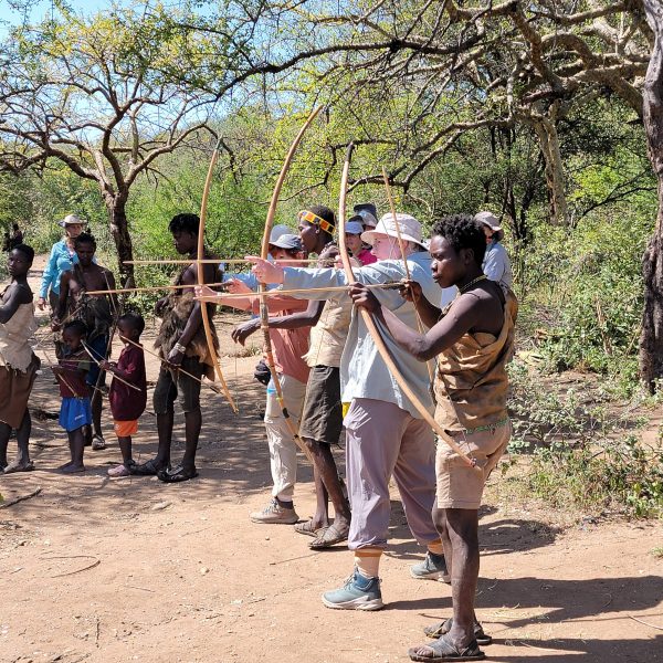 Tanzania Safari: A Journey with Wildlife & Culture