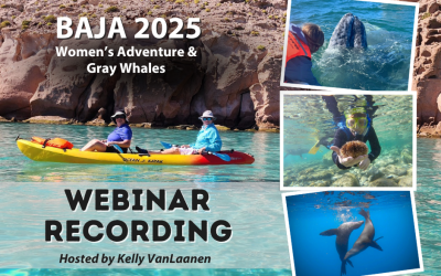REPLAY: Webinar – Baja Women’s Adventure & Gray Whales