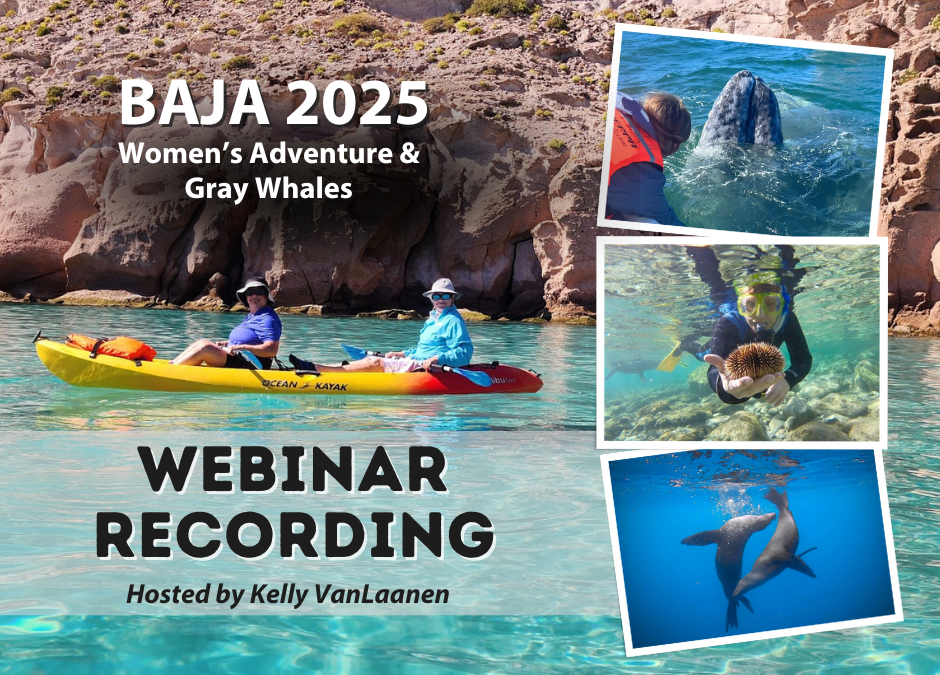 REPLAY: Webinar – Baja Women’s Adventure & Gray Whales