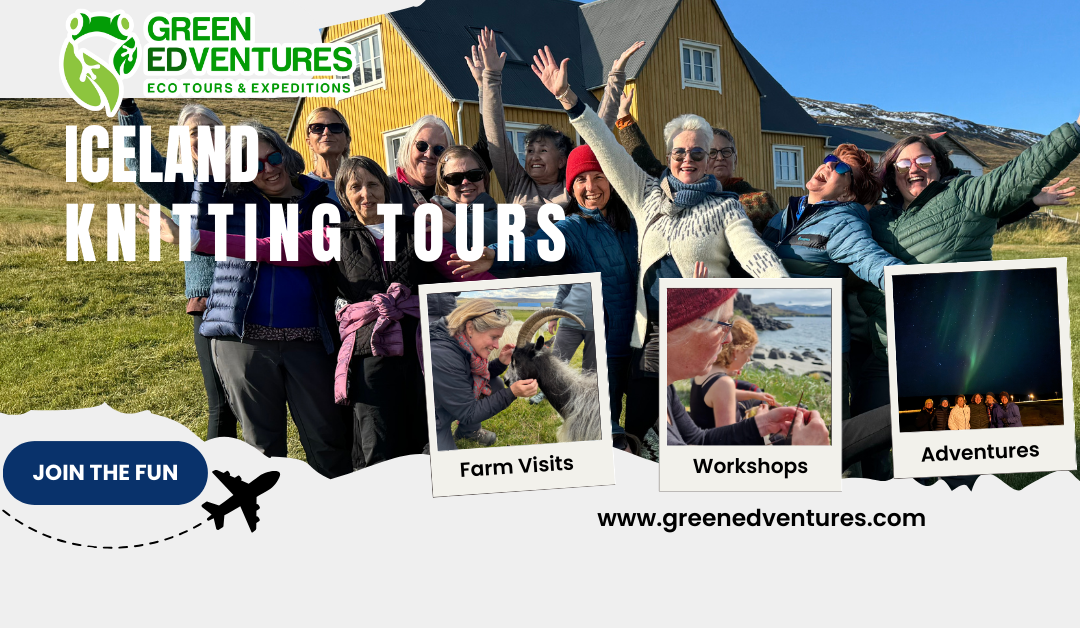 Why Iceland Knitting Tours Are The Perfect Way to Experience the Land of Fire and Ice