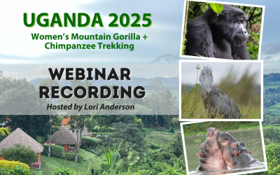 REPLAY: Info Sessions – 2025 Women’s Uganda Mountain Gorillas + Chimpanzee Trekking