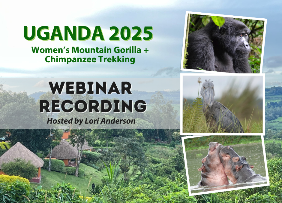 REPLAY: Info Sessions – 2025 Women’s Uganda Mountain Gorillas + Chimpanzee Trekking