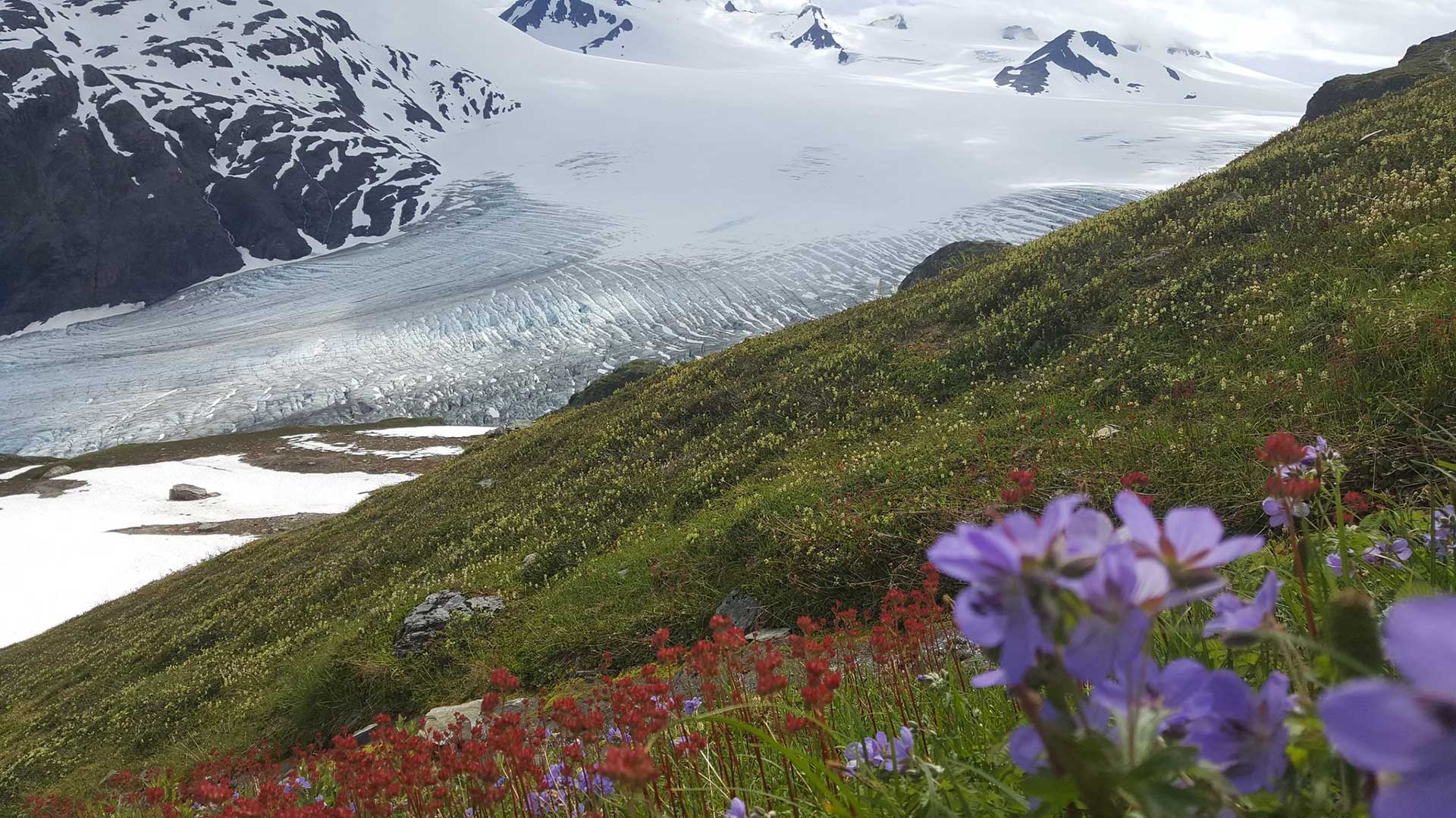 Alaska-glacier