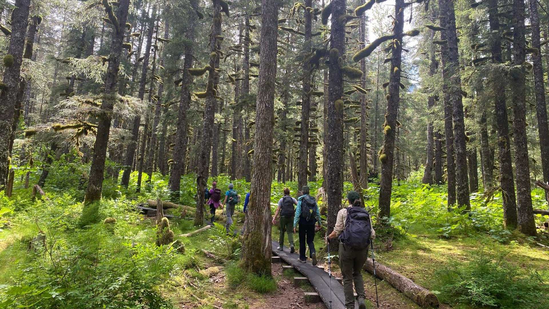 Alaska-hiking-in-the-woods