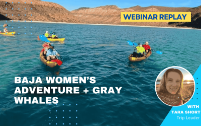 REPLAY: Webinar – Baja Women’s Adventure & Gray Whales Tour