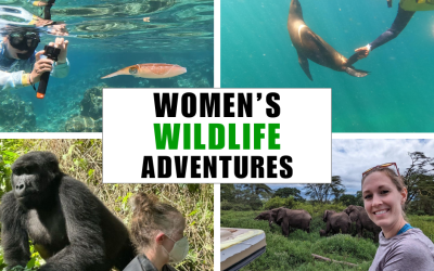 The Best Spring & Summer Women’s Adventures Wildlife Tours 2025