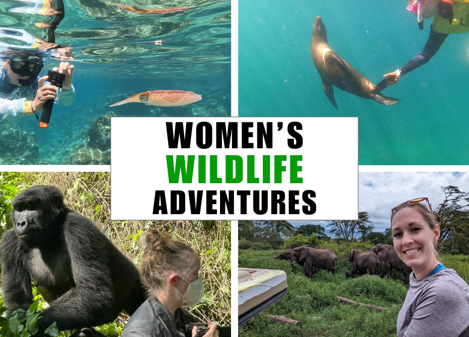 The Best Spring & Summer Women’s Adventures Wildlife Tours 2025