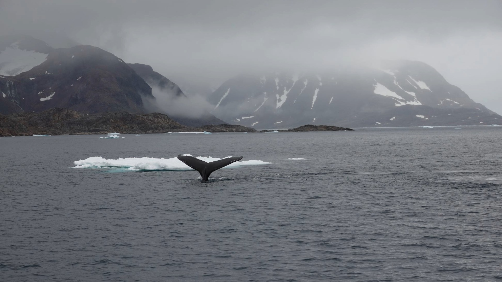 East-Greenland-Womens-Adventure-Itinereary007