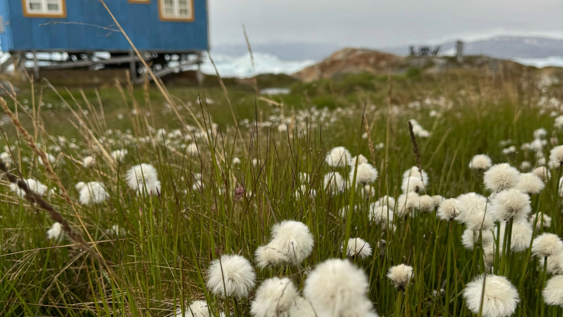 East-Greenland-Womens-Adventure-Itinereary009