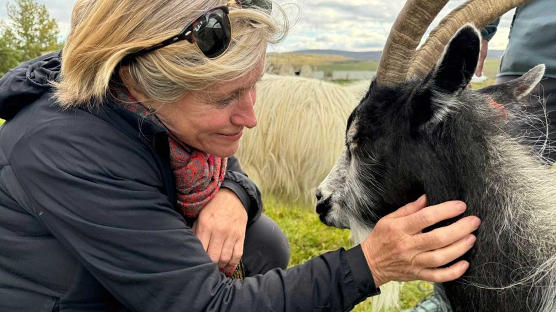 Iceland-Goat-shawl-tour-knitting-1