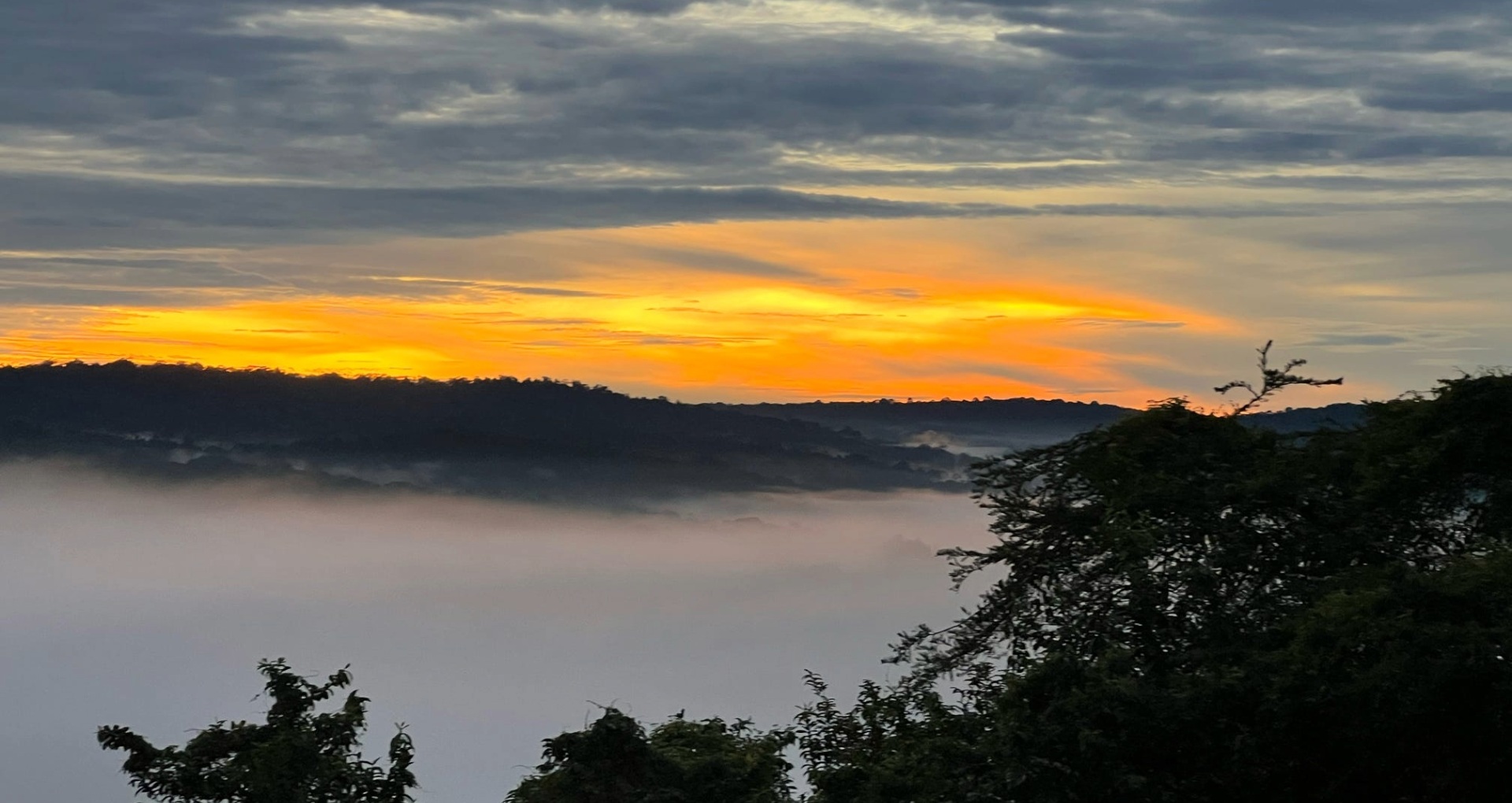 Uganda-womens-gorilla-chimpanzees-tour-highlight2