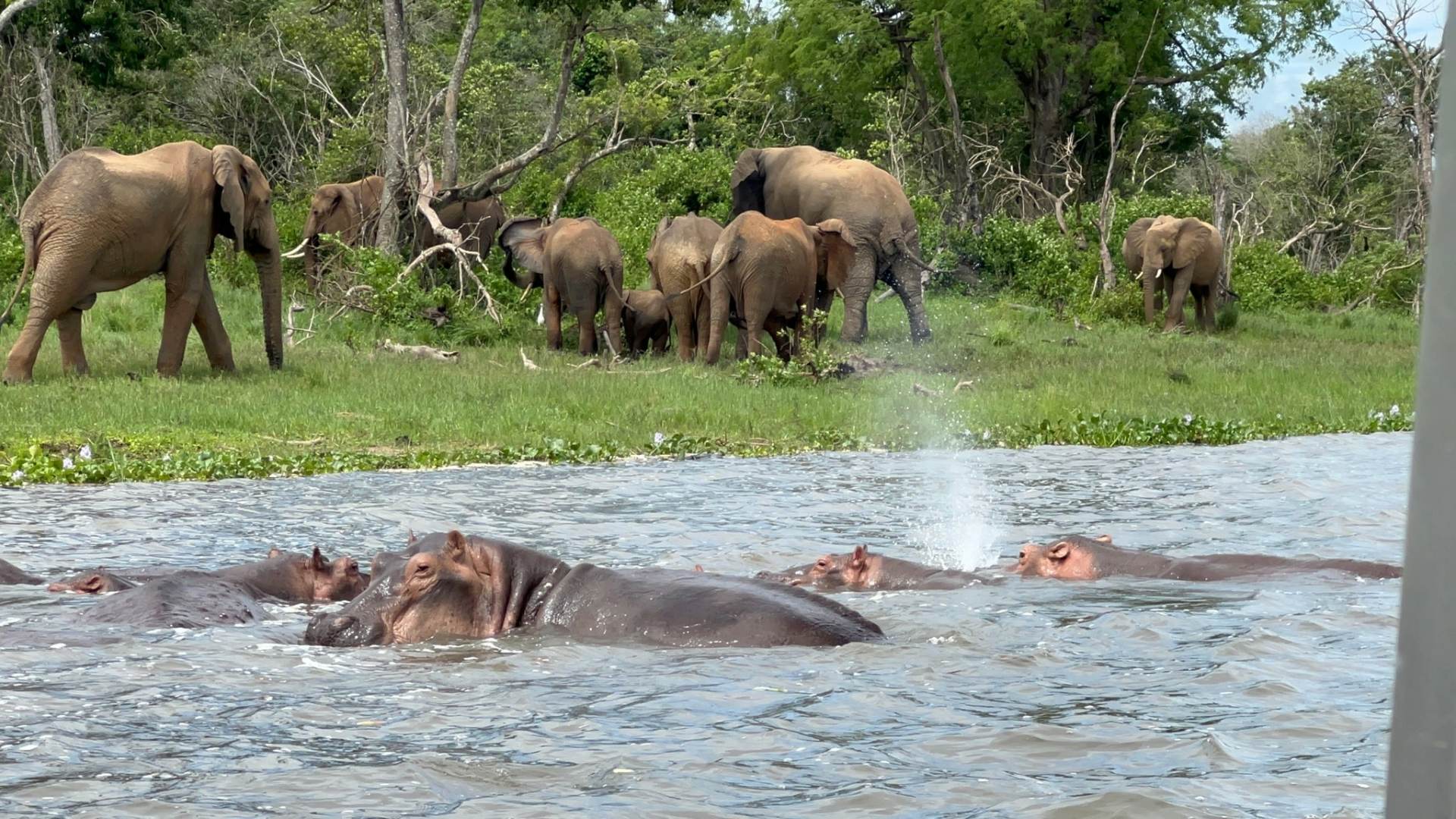 Uganda-womens-gorilla-chimpanzees-tour-itinerary-day04